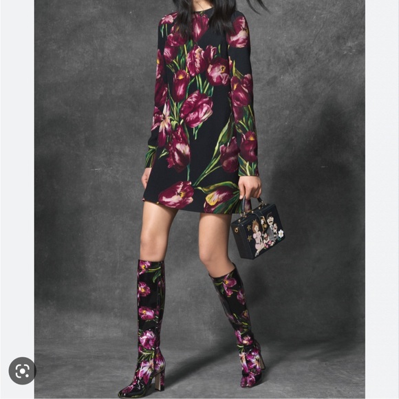 Pics - Picture 6 of 14